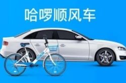 5分钟科普!攀枝花的公司有哪些_哔哩哔哩
